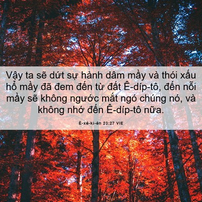 Picture 06 - Ê-xê-ki-ên 23:27 VIE - Vậy ta sẽ dứt sự hành dâm mầy và - Bible Verse Picture