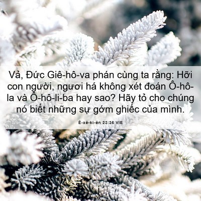 Picture 06 - Ê-xê-ki-ên 23:36 VIE - Vả, Đức Giê-hô-va phán cùng ta rằng: - Bible Verse Picture