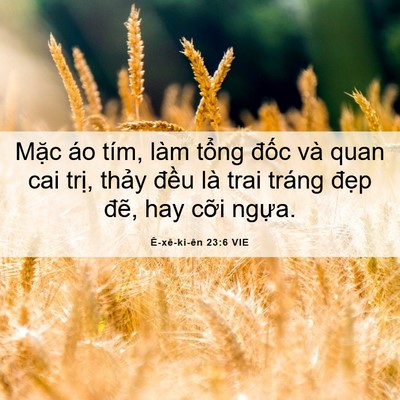 Picture 06 - Ê-xê-ki-ên 23:6 VIE - Mặc áo tím, làm tổng đốc và quan cai - Bible Verse Picture