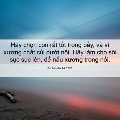 Picture 06 - Ê-xê-ki-ên 24:5 VIE - Hãy chọn con rất tốt trong bầy, và vì - Bible Verse Picture