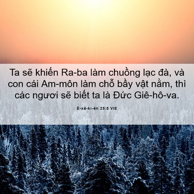 Picture 06 - Ê-xê-ki-ên 25:5 VIE - Ta sẽ khiến Ra-ba làm chuồng lạc đà, - Bible Verse Picture