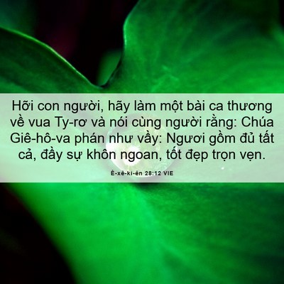 Picture 06 - Ê-xê-ki-ên 28:12 VIE - Hỡi con người, hãy làm một bài ca - Bible Verse Picture