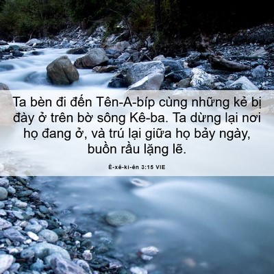 Picture 06 - Ê-xê-ki-ên 3:15 VIE - Ta bèn đi đến Tên-A-bíp cùng những kẻ - Bible Verse Picture