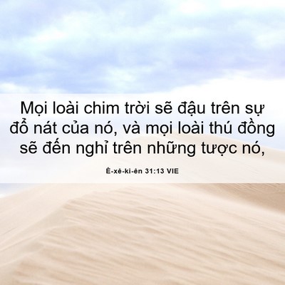 Picture 06 - Ê-xê-ki-ên 31:13 VIE - Mọi loài chim trời sẽ đậu trên sự - Bible Verse Picture