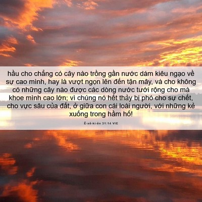 Picture 06 - Ê-xê-ki-ên 31:14 VIE - hầu cho chẳng có cây nào trồng gần - Bible Verse Picture