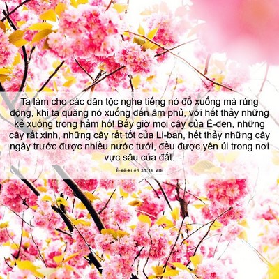 Picture 06 - Ê-xê-ki-ên 31:16 VIE - Ta làm cho các dân tộc nghe tiếng nó - Bible Verse Picture