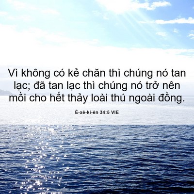 Picture 06 - Ê-xê-ki-ên 34:5 VIE - Vì không có kẻ chăn thì chúng nó tan - Bible Verse Picture