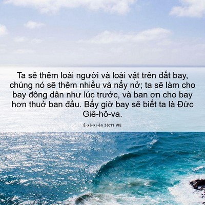 Picture 06 - Ê-xê-ki-ên 36:11 VIE - Ta sẽ thêm loài người và loài vật - Bible Verse Picture