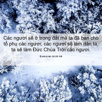 Picture 06 - Ê-xê-ki-ên 36:28 VIE - Các ngươi sẽ ở trong đất mà ta đã - Bible Verse Picture