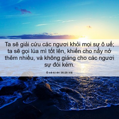 Picture 06 - Ê-xê-ki-ên 36:29 VIE - Ta sẽ giải cứu các ngươi khỏi mọi - Bible Verse Picture