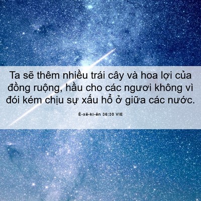 Picture 06 - Ê-xê-ki-ên 36:30 VIE - Ta sẽ thêm nhiều trái cây và hoa lợi - Bible Verse Picture