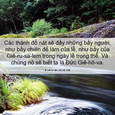 Picture 06 - Ê-xê-ki-ên 36:38 VIE - Các thành đổ nát sẽ đầy những bầy - Bible Verse Picture