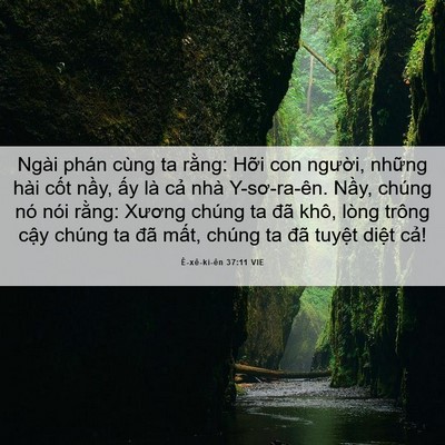 Picture 06 - Ê-xê-ki-ên 37:11 VIE - Ngài phán cùng ta rằng: Hỡi con người, - Bible Verse Picture