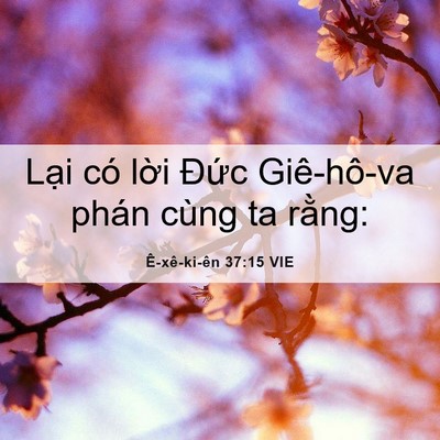 Picture 06 - Ê-xê-ki-ên 37:15 VIE - Lại có lời Đức Giê-hô-va phán cùng ta - Bible Verse Picture