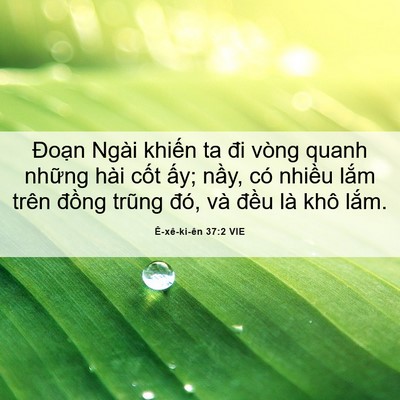 Picture 06 - Ê-xê-ki-ên 37:2 VIE - Đoạn Ngài khiến ta đi vòng quanh những - Bible Verse Picture