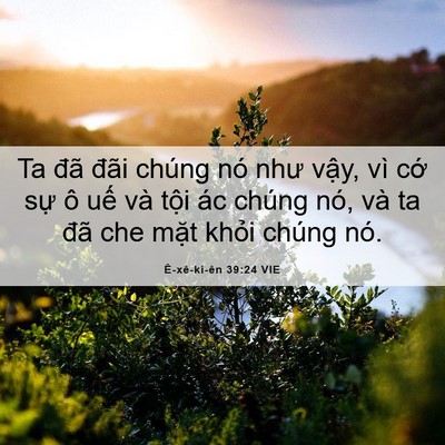Picture 06 - Ê-xê-ki-ên 39:24 VIE - Ta đã đãi chúng nó như vậy, vì cớ - Bible Verse Picture
