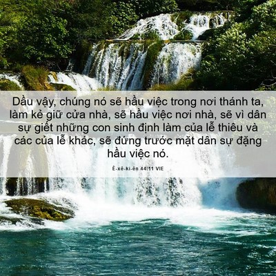Picture 06 - Ê-xê-ki-ên 44:11 VIE - Dầu vậy, chúng nó sẽ hầu việc trong - Bible Verse Picture