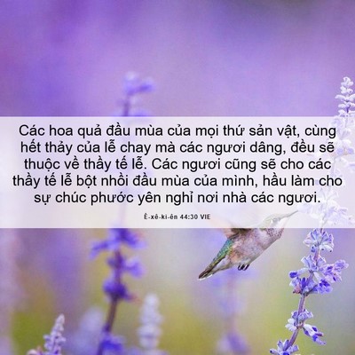 Picture 06 - Ê-xê-ki-ên 44:30 VIE - Các hoa quả đầu mùa của mọi thứ - Bible Verse Picture