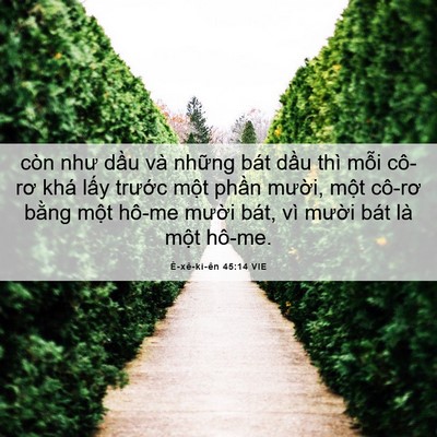 Picture 06 - Ê-xê-ki-ên 45:14 VIE - còn như dầu và những bát dầu thì mỗi - Bible Verse Picture