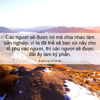 Picture 06 - Ê-xê-ki-ên 47:14 VIE - Các ngươi sẽ được nó mà chia nhau làm - Bible Verse Picture