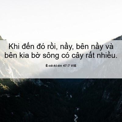 Picture 06 - Ê-xê-ki-ên 47:7 VIE - Khi đến đó rồi, nầy, bên nầy và bên - Bible Verse Picture