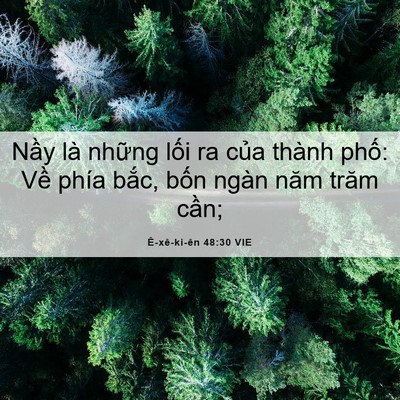 Picture 06 - Ê-xê-ki-ên 48:30 VIE - Nầy là những lối ra của thành phố: - Bible Verse Picture