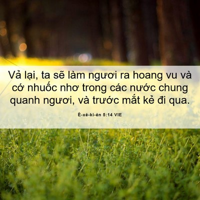Picture 06 - Ê-xê-ki-ên 5:14 VIE - Vả lại, ta sẽ làm ngươi ra hoang vu và - Bible Verse Picture