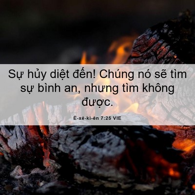 Picture 06 - Ê-xê-ki-ên 7:25 VIE - Sự hủy diệt đến! Chúng nó sẽ tìm - Bible Verse Picture