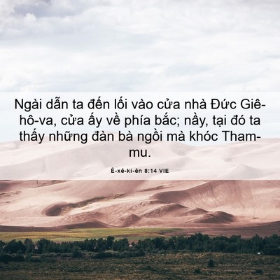 Picture 06 - Ê-xê-ki-ên 8:14 VIE - Ngài dẫn ta đến lối vào cửa nhà - Bible Verse Picture