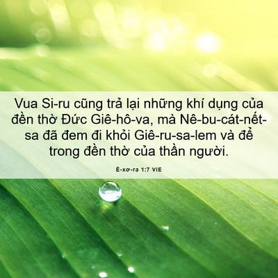Picture 06 - Ê-xơ-ra 1:7 VIE - Vua Si-ru cũng trả lại những khí dụng - Bible Verse Picture
