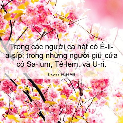 Picture 06 - Ê-xơ-ra 10:24 VIE - Trong các người ca hát có Ê-li-a-síp; - Bible Verse Picture
