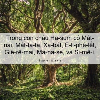 Picture 06 - Ê-xơ-ra 10:33 VIE - Trong con cháu Ha-sum có Mát-nai, Mát-ta-ta, - Bible Verse Picture