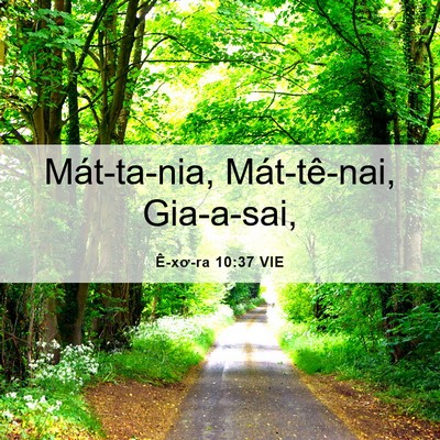 Picture 06 - Ê-xơ-ra 10:37 VIE - Mát-ta-nia, Mát-tê-nai, - Bible Verse Picture