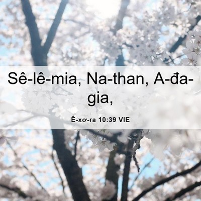 Picture 06 - Ê-xơ-ra 10:39 VIE - Sê-lê-mia, Na-than, - Bible Verse Picture