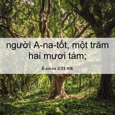 Picture 06 - Ê-xơ-ra 2:23 VIE - người A-na-tốt, một trăm hai mươi - Bible Verse Picture