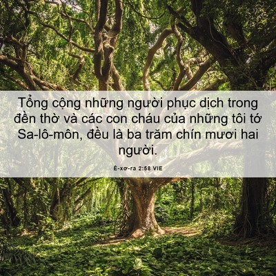Picture 06 - Ê-xơ-ra 2:58 VIE - Tổng cộng những người phục dịch - Bible Verse Picture