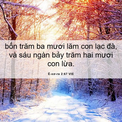 Picture 06 - Ê-xơ-ra 2:67 VIE - bốn trăm ba mươi lăm con lạc đà, và - Bible Verse Picture