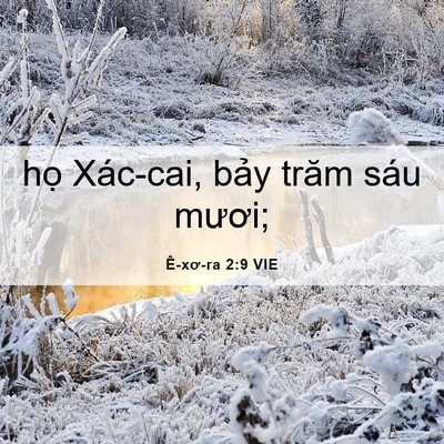 Picture 06 - Ê-xơ-ra 2:9 VIE - họ Xác-cai, bảy trăm sáu - Bible Verse Picture