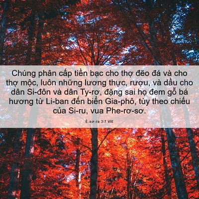 Picture 06 - Ê-xơ-ra 3:7 VIE - Chúng phân cấp tiền bạc cho thợ đẽo - Bible Verse Picture
