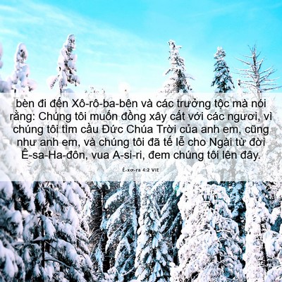 Picture 06 - Ê-xơ-ra 4:2 VIE - bèn đi đến Xô-rô-ba-bên và các - Bible Verse Picture