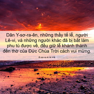 Picture 06 - Ê-xơ-ra 6:16 VIE - Dân Y-sơ-ra-ên, những thầy tế lễ, - Bible Verse Picture