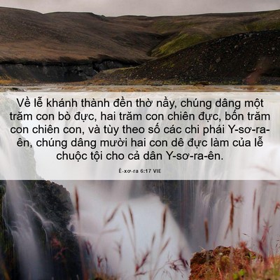 Picture 06 - Ê-xơ-ra 6:17 VIE - Về lễ khánh thành đền thờ nầy, - Bible Verse Picture