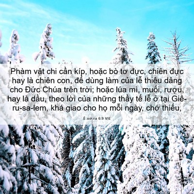 Picture 06 - Ê-xơ-ra 6:9 VIE - Phàm vật chi cần kíp, hoặc bò tơ - Bible Verse Picture