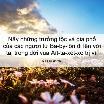 Picture 06 - Ê-xơ-ra 8:1 VIE - Nầy những trưởng tộc và gia phổ của - Bible Verse Picture