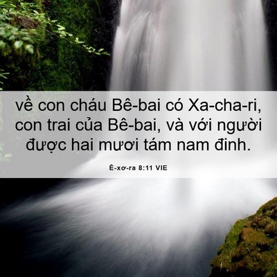 Picture 06 - Ê-xơ-ra 8:11 VIE - về con cháu Bê-bai có Xa-cha-ri, con trai - Bible Verse Picture