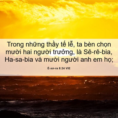 Picture 06 - Ê-xơ-ra 8:24 VIE - Trong những thầy tế lễ, ta bèn chọn - Bible Verse Picture