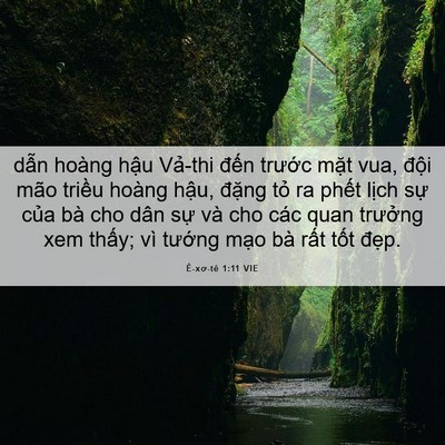 Picture 06 - Ê-xơ-tê 1:11 VIE - dẫn hoàng hậu Vả-thi đến trước mặt - Bible Verse Picture