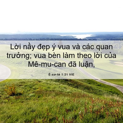 Picture 06 - Ê-xơ-tê 1:21 VIE - Lời nầy đẹp ý vua và các quan - Bible Verse Picture