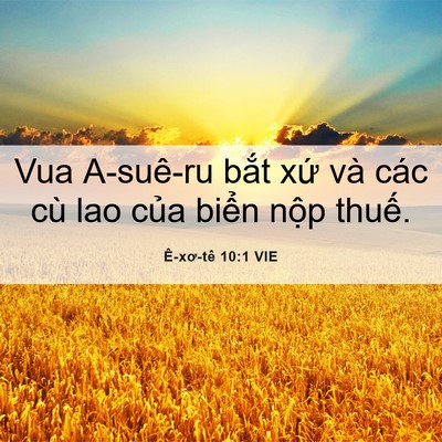 Picture 06 - Ê-xơ-tê 10:1 VIE - Vua A-suê-ru bắt xứ và các cù lao của - Bible Verse Picture