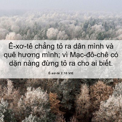 Picture 06 - Ê-xơ-tê 2:10 VIE - Ê-xơ-tê chẳng tỏ ra dân mình và quê - Bible Verse Picture